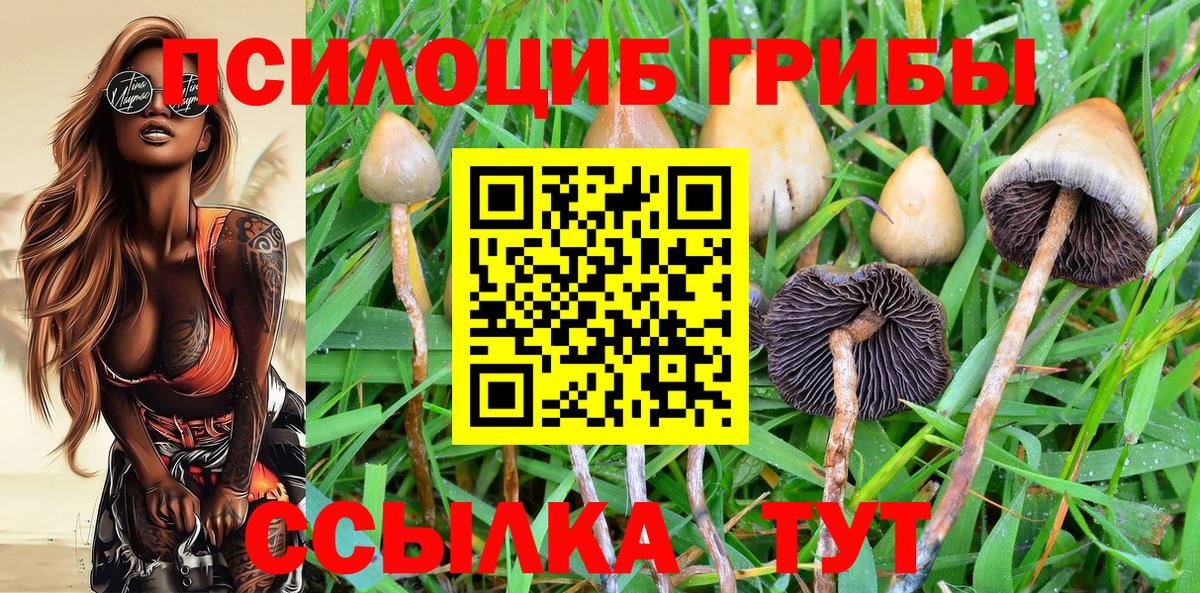 Псилоцибиновые грибы MAGIC MUSHROOMS Лениногорск