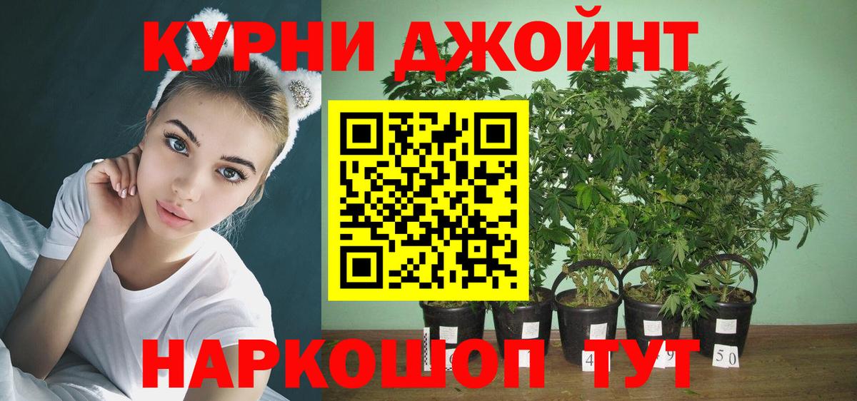 Конопля AK-47 Лениногорск
